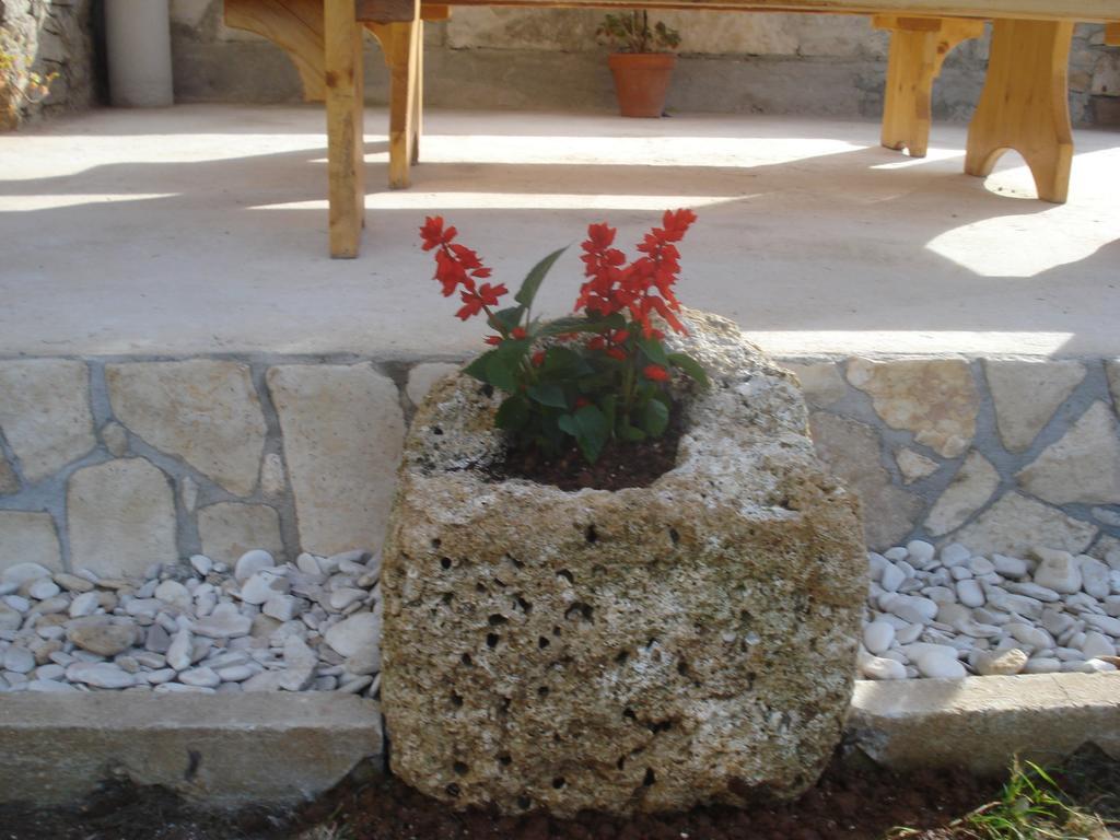 Apartment Premantura Rom bilde